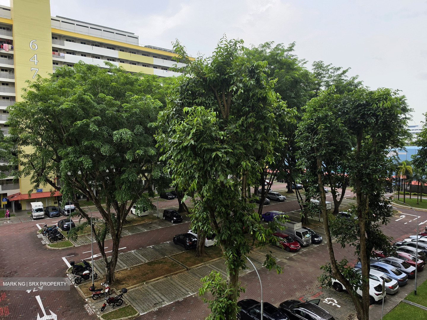 Blk 648 Ang Mo Kio 61 (Ang Mo Kio), HDB 4 Rooms #574641521